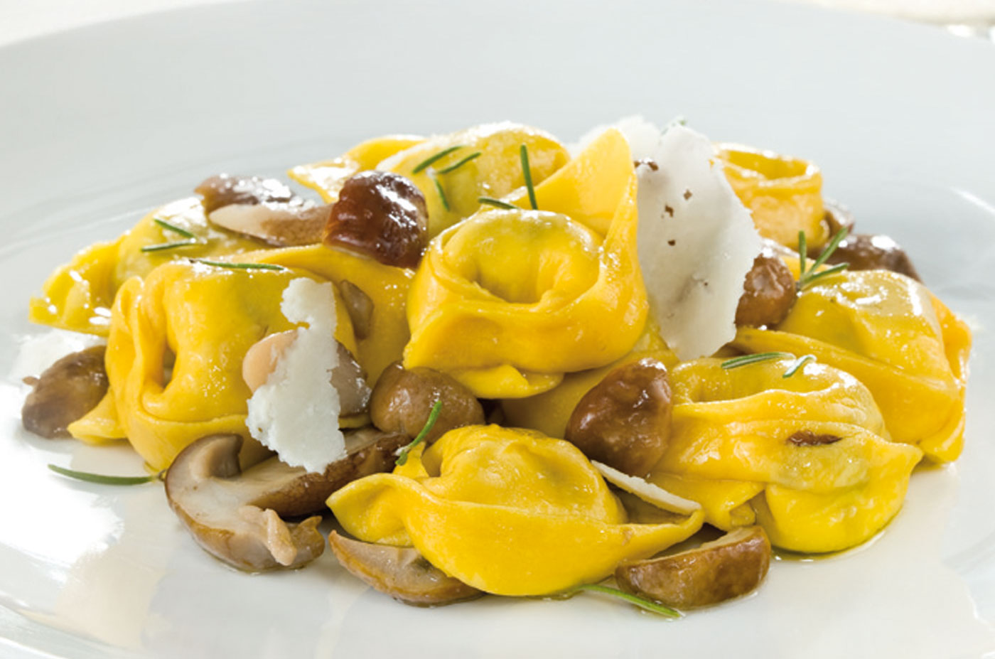 Tortelloni di ricotta e radicchio con sugo di funghi